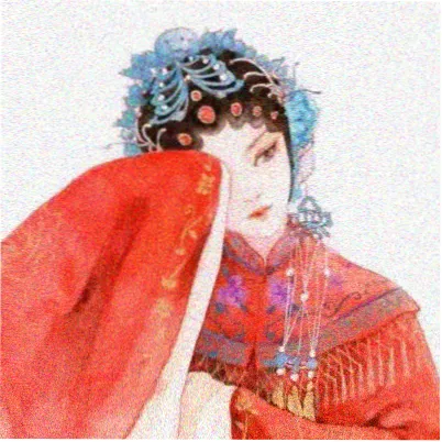读者纸飞机1987的头像